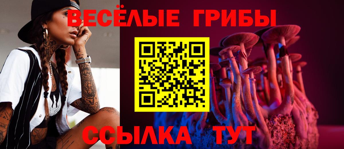 Галлюциногенные грибы Cubensis Мариинск