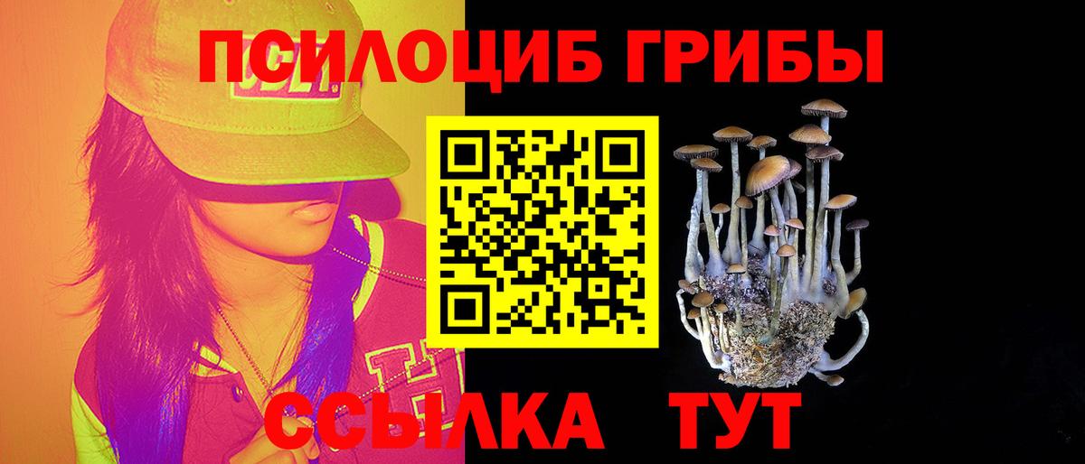 Псилоцибиновые грибы Magic Shrooms  Вход с VPN  Галлюциногенные грибы Cubensis  Мариинск 